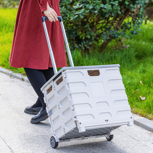 户外野餐便携拉杆车买菜购物车折叠小推车取快递手拉车露营收纳箱