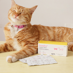 美国速诺宠物猫咪感冒咳嗽猫鼻支药狗狗肠胃口腔猫泌尿50mg/10粒