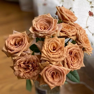 咖啡色百利信太妃糖玫瑰520 情人节鲜花送礼广州同城速递全国包邮