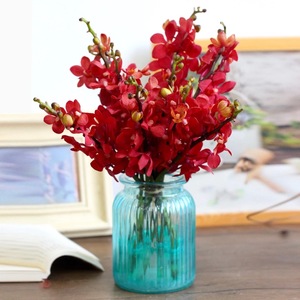 广州鲜花红色万代千代洋兰同城速递家庭插花店婚礼空运办公室包邮