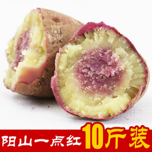 阳山特产  粤北阳山纯天然农家紫心一点红番薯（拍1件为10斤）