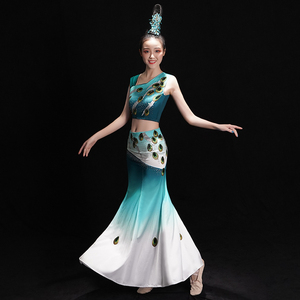 傣族舞蹈演出服装女少数民族云南东方孔雀舞中国风艺考练功鱼尾裙