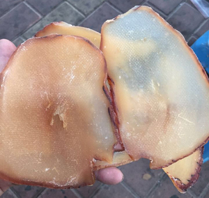 阳江沙扒月亮湾深海响螺片长辛螺 自晒螺肉 52元250g一袋包邮