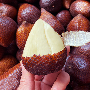 印尼蛇皮果新鲜进口水果2斤应季时令热带特别罕见稀奇古怪不常见