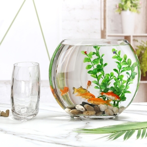 创意扁形鱼缸透明椭圆形玻璃金鱼缸迷你小型桌面水培造景孔雀鱼