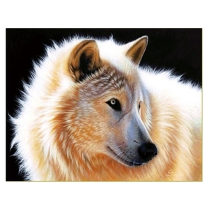 白色狼十字绣狼图狼头钻石绣线绣满绣雪狼钻石画满钻狼图腾新款图