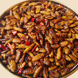 辣椒炒蚕蛹子高蛋白下饭菜徐州邳州山东新沂特产熟食香辣小黄蛹