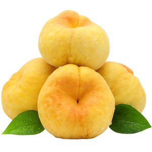 桃小蒙新鲜黄金蟠桃水果带箱包邮山东蟠桃黄毛扁桃现摘水蜜桃