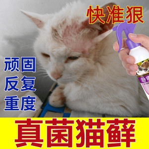 猫咪猫藓药猫咪皮肤病螨虫真菌感染喷雾剂耳朵鼻子脱毛药猫癣专用