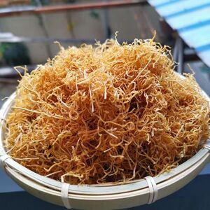 00芒市小小美食园淘宝新货云南特产黄竹笋干野生小春笋农家小笋干笋