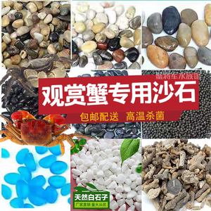 观赏蟹专用沙石泥沙铺底造景河沙小石子相手蟹将军蟹辣椒蟹寄居蟹