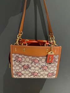 coach小象