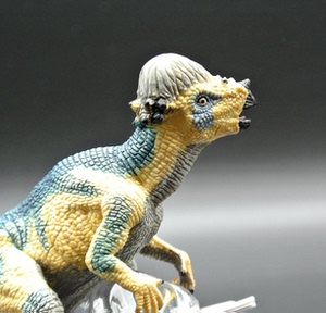 papo肿头龙papo厚头龙仿真恐龙模型玩具55005全新现货包邮