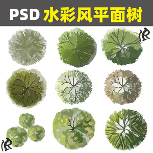 ps小清新手绘水彩平面树顶视图植物景观彩平图psd分层素材马克笔