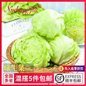 球生菜新鲜西生菜球包菜汉堡店蔬菜沙拉食材西餐圆形球生菜500g