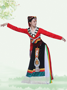 藏族牧民牧区服装舞蹈服装演出服练功服连身长裙藏式民族风服饰女