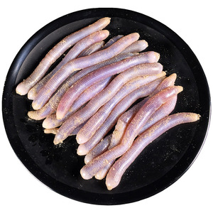 湛江野生沙虫鲜活新鲜土笋冻海肠子沙虫特产海鲜水产鲜活体1斤装