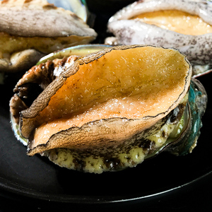 2斤装8-10头鲍鱼鲜活贝类特大海鲜水产顺丰包邮