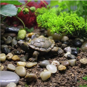 复古小乌龟摆件生态鱼缸多个款式迷你海龟微景观动物盆栽装饰道具