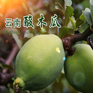 云南酸木瓜新鲜青酸木瓜水果高原野生木瓜德宏酸果子3斤包邮