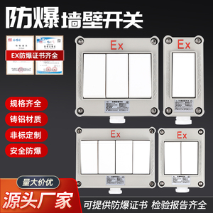 防爆墙壁照明开关220v10A翘板单开双联单控双控插座86型明装暗装