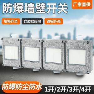 防爆墙壁照明灯开关插座220v380v单联单控双开86型号工业门禁防水