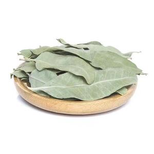 新疆罗布麻500克g中药材罗布麻叶正品新疆大叶罗布麻叶泡茶中草药