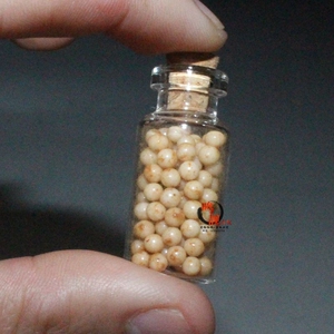 释迦牟尼舍利子坚固子结缘装藏舍利塔增生白色老舍利嘎乌供品结缘