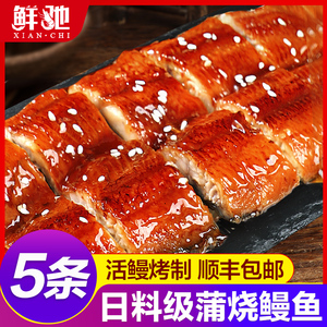 日式蒲烧鳗鱼开袋加热即食新鲜鲜活烤鳗鱼饭整条寿司专用鳗鱼商用