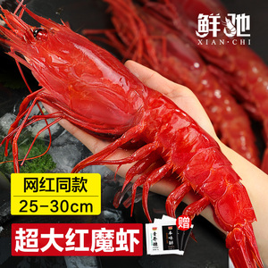 红魔虾鲜活超大刺身甜虾生腌海鲜水产非西班牙进口海鳌虾牡丹虾
