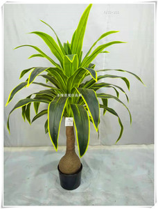 仿真植物铁树巴西铁巴西木仿真植物假花盆栽室内客厅 带花巴西铁