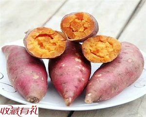 汕头南澳岛特产金薯番薯 新鲜农家地瓜红薯色金黄肉甜 5斤1箱包邮