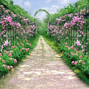 新主播背景布3d直播间墙纸拍照简约立体男女花海壁纸快手背景墙纸