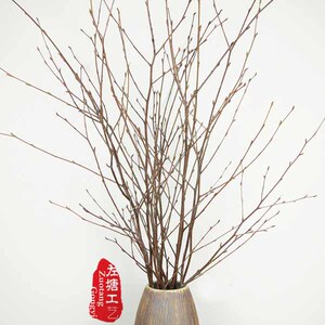左塘新款天然桦树枝新鲜树枝橱窗装饰干树枝森系田园装饰热销推荐