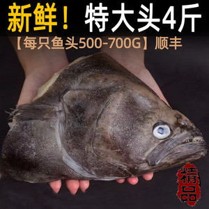 鸦片鱼头新鲜冷冻半成品批发商用碟鱼头特大雅片鱼深海鲽鱼头