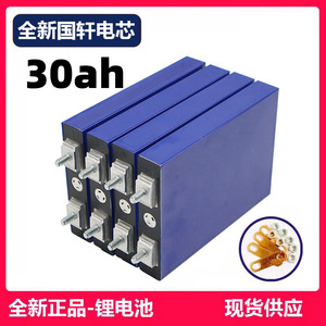 国轩磷酸铁锂电池3.2V 30AH路灯外卖大单体电动车动力电芯LiFePO4