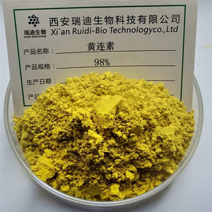 黄连提取物 黄连素 98%盐酸小檗碱  浓缩粉 送1g量勺