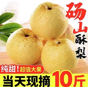 苹果梨子新鲜10斤砀山梨整箱带箱礼盒汤山酥梨安徽正宗砀山梨酥梨