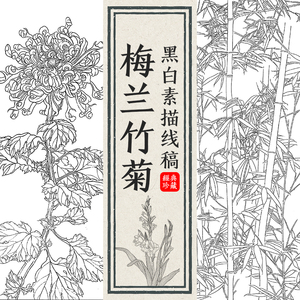 黑白线描梅兰竹菊花卉线稿底稿工笔绘画临摹上色图片设计素材jpg