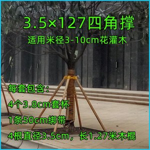 树木固定器c铁树撑杆支撑架苗木绿化大箍抱扶树杆钢管杆国定器木