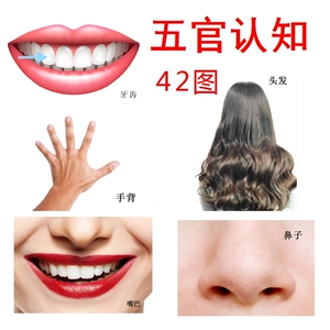 五官早教卡片