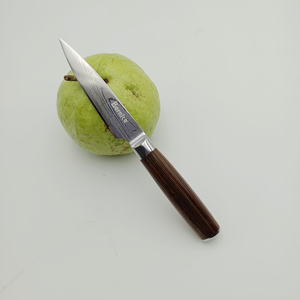 德国1.4116钢精美水果刀3.5寸削皮刀家用苹果刀办公室木柄小刀套