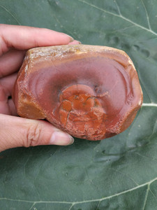 大同玉 纯天然 羊肝石奇石摆件 雕刻 毛料600