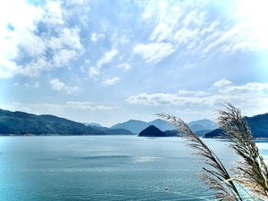 电脑平板手机壁纸墙纸电子版卡通动漫