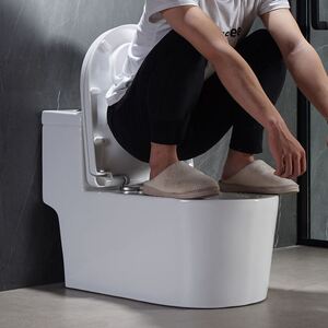 蹲坐两用马桶虹吸节水抽水墙排后排防臭双用蹲坑坐便器200-580坑