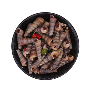 麻辣醉钉螺小海鲜罐头海鲜钉螺醉钉锥海螺丝烟台海鲜特产300g