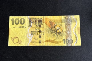 斐济100元