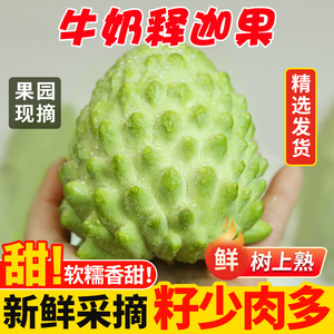 牛奶凤梨释迦果特大云南新鲜番荔枝热带佛头摩尼果当季水果一整箱