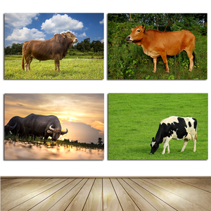 水牛黄牛奶牛镇宅风水中堂生肖海报画招财纳福动物早教居家装饰画