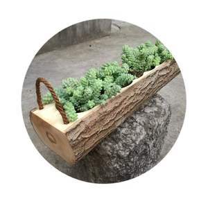 木头花盆 原生态 田园 原木真树枝树干花盆多肉植物盆吊挂式